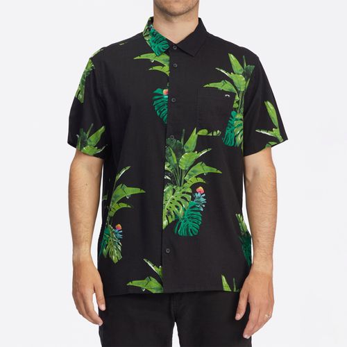 Kamea Jungle M Wvtp