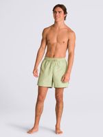 Traje-De-Baño-Hombre-Primary-Solid-Elastic-Verde-Claro-Vans