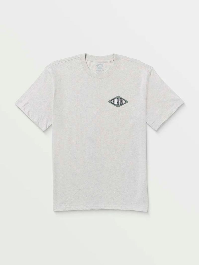 Polera-Manga-Corta-Hombre-Walled-Regular-Gris-Billabong