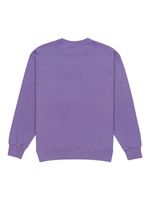 Poleron-Hombre-Cornell-3.0-Morado-Element