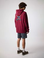 Poleron Unisex Classic Hoodie Burdeo Blue Banana