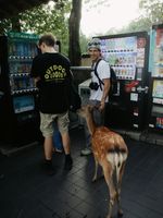 Polera M/C Unisex Goods Tee Negro Blue Banana